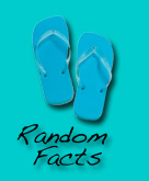 random facts