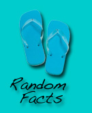 random facts